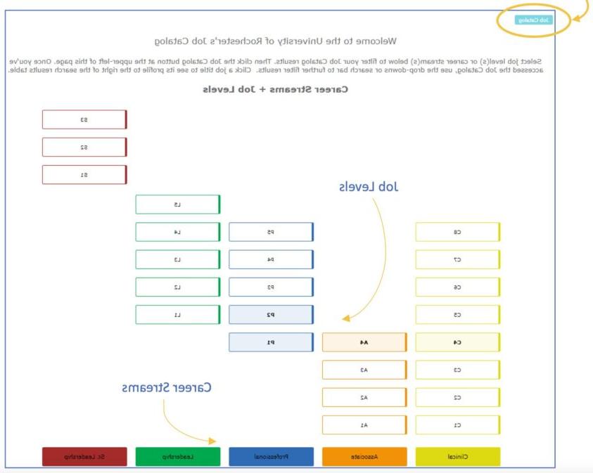 From the 工作目录 home page, find job levels and career streams .